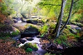 paysage 16_10_11n03